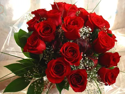 Какие цветы подарить любимой девушке на 14 февраля? | статьи из мира  флористики на блоге Flowwow