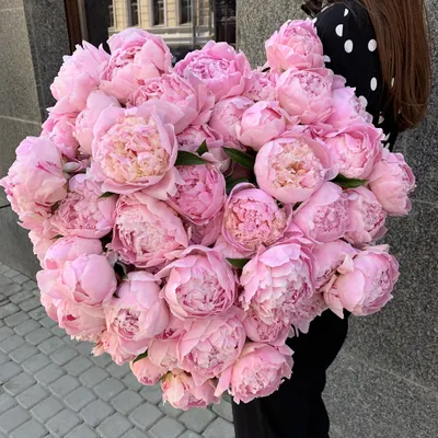 Какие цветы можно подарить девушке на день рождения | Блог Семицветик