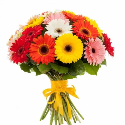Заказать букет цветов из герберы FL-1546 купить - хорошая цена на букет  цветов из герберы с доставкой - FLORAN.com.ua