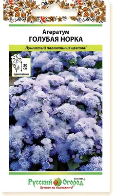 Цветы Агератум Голубая норка и Агератум Сноу Болл 2 пакета по 0,1г семян —  купить в интернет-магазине по низкой цене на Яндекс Маркете