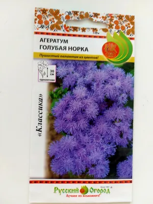 https://novosibirsk.leroymerlin.ru/product/semena-cvetov-ageratum-golubaya-norka-sirenevo-goluboy-semena-altaya-17345591/