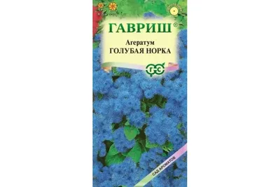 Семена цветов Агератум \"Голубая норка\", 0,1 г (10264957) - Купить по цене  от 13.90 руб. | Интернет магазин SIMA-LAND.RU