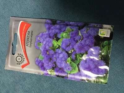 Семена Поиск Цветные пакеты Агератум Голубая норка — купить в  интернет-магазине по низкой цене на Яндекс Маркете