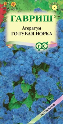ПОИСК Семена цветов Агератум Голубая норка для открытого грунта