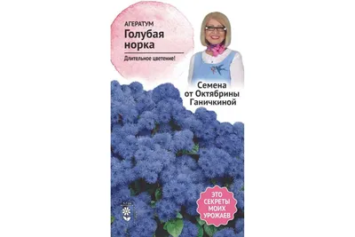 Отзыв о Семена цветов Агрофирма Поиск \"Агератум Голубая норка\" | \"Какова\"  красота! Чудо, в которое невозможно не влюбиться!