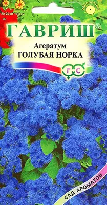 Семена цветов -гавриш (голубая норка) и Пеларгония Рафаэлла F1 — купить в  интернет-магазине по низкой цене на Яндекс Маркете