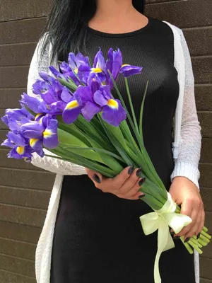 Заказать цветы ирисы букет FL-310 купить - хорошая цена на цветы ирисы  букет с доставкой - FLORAN.com.ua