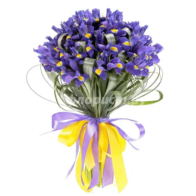 Ирисы с орхидеями - 61 шт. за 14 190 руб. | Бесплатная доставка цветов по  Москве