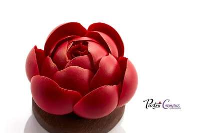 Цветы из шоколада - PastryCampus by Maria Selyanina