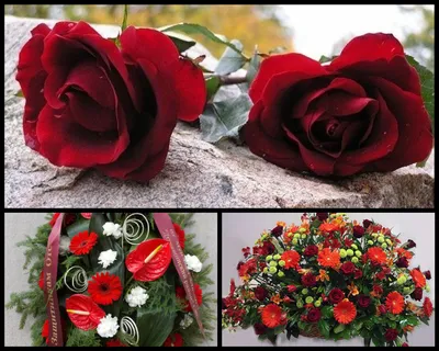 Букет на похороны из 24 красных роз за 3 950 ₽ в Москве