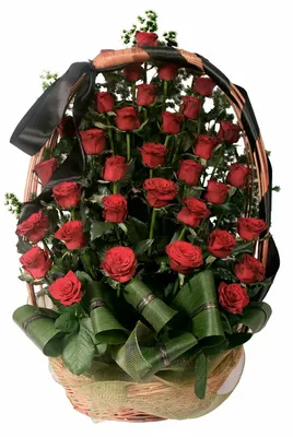 Траурный букет с красной розой и зеленью - заказать и купить цветы на  похороны с доставкой | Donpion