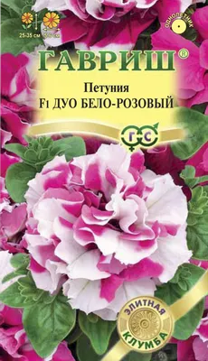 Купить Петуния махровая многоцветковая Дуо Лавендер (10 семян) • Поиск ССК  () • Петуния махровая многоцветковая Дуо Лавендер. Многоцветковый гибрид с  обильным цветением. Раскидистый кустик высотой 25-35 см. Небольшие  аккуратные листочки с