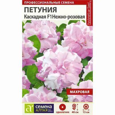 Семена Цветы, Петуния, Дуо фройлен, 10 шт, махровая, цветная упаковка,  Поиск в Орле: цены, фото, отзывы - купить в интернет-магазине Порядок.ру