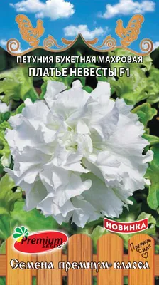 Семена цветов Петуния махровая \"МОДЕНА Микс F1\", 0,01 г. в амп. (9338638) -  Купить по цене от 72.00 руб. | Интернет магазин SIMA-LAND.RU