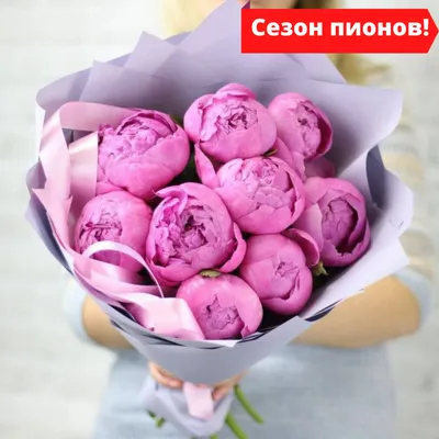 Сезон пионов - Millionroz