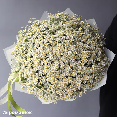 Букет из ромашек - заказать доставку цветов в Москве от Leto Flowers