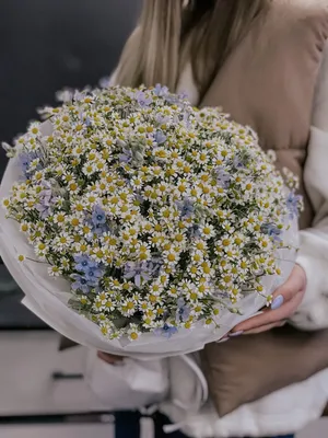 Купить букет из ромашек в Комсомольске-на-Амуре ❤ Azeriflores.ru —  Комсомольск-на-Амуре