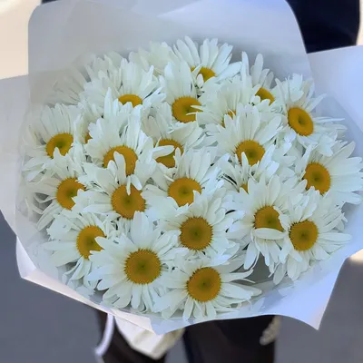 Букет из ромашки, гвоздик и гиперикума - купить цветы с доставкой по Москве  и МО от 3290 руб | «Букет-Маркет»