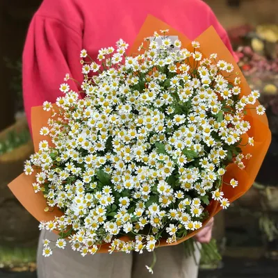 Букет цветов ромашек полевых купить с доставкой по Томску: цена, фото,  отзывы.