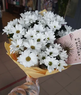 Купить Искусственные цветы ромашки для декора дома, дачи, офиса 1 букет 7  цветков по выгодной цене в интернет-магазине OZON.ru (933039884)