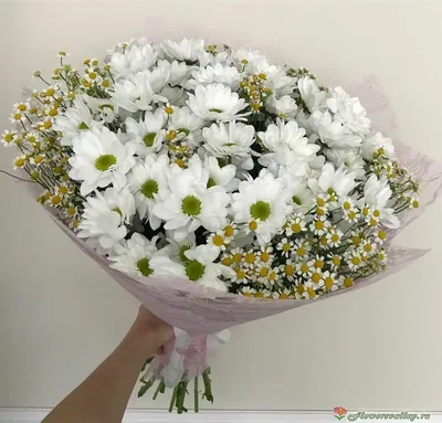 Купить 100 шт. 4 см искусственные цветы белая ромашка с желтым центром для  свадебной вечеринки украшение дома DIY | Joom