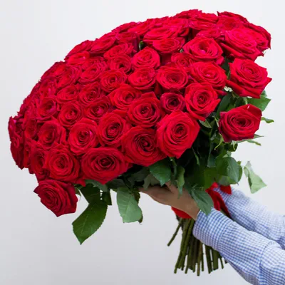 Розы красные 70 см 15 шт ⋆ Букет вам 24