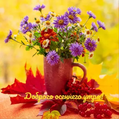 Доброе утро ☀️☕️🌷 - Мир в цветах радуги | Facebook