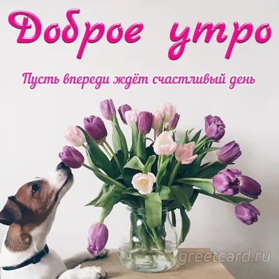 Красивые картинки \"С Добрым Утром!\" (4136 шт.)