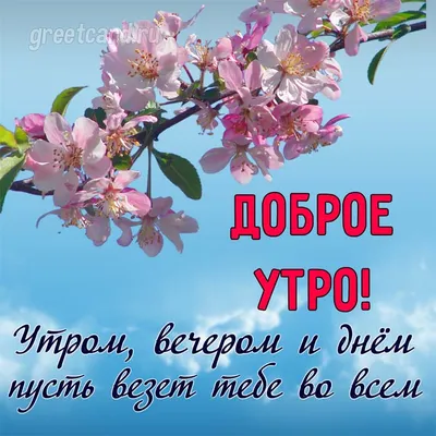 Картинки доброе утро цветы розы с надписью красивые (61 фото) » Картинки и  статусы про окружающий мир вокруг