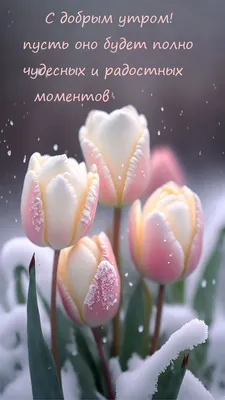 Доброе утро | Пора пить кофе, Кофе, Весна