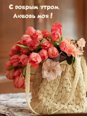 цветы#розы#сдобрымутром | TikTok