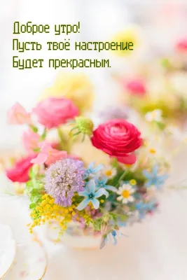 Утренние цветы для любимой - 63 фото