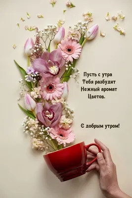 Картинки \"С Добрым Утром!\" для женщин (337 шт.)