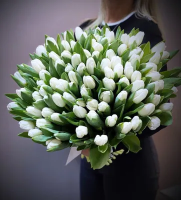 С какими цветами сочетаются тюльпаны читайте на сайте Premium-flowers