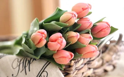 Букет из тюльпанов и стифы - Доставкой цветов в Москве! 14812 товаров! Цены  от 487 руб. Цветы Тут