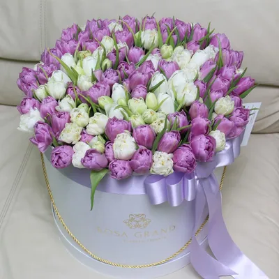 Белые тюльпаны в коробке от 51 шт. за 11 590 руб. | Бесплатная доставка  цветов по Москве