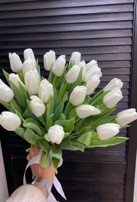 Разноцветные тюльпаны от 11 шт купить недорого, доставка - магазин цветов  Абари в Омске