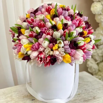 Нежные тюльпаны в коробке от 51 шт. за 11 590 руб. | Бесплатная доставка  цветов по Москве