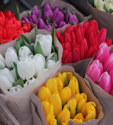 Букет 35 красных тюльпанов - Доставкой цветов в Москве! 41765 товаров! Цены  от 487 руб. Цветы Тут