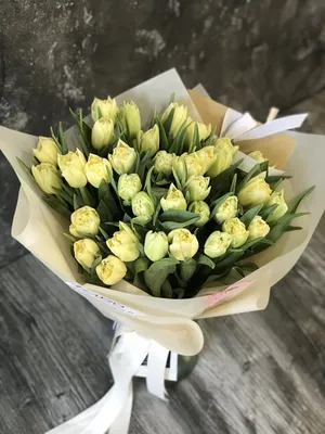 Белые тюльпаны поштучно от /шт. Купить цветы.