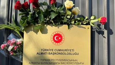 Российских туристов предупредили о смертельной опасности на курортах Турции,  которая притягивает к себе женщин и детей | Туристические новости от  Турпрома