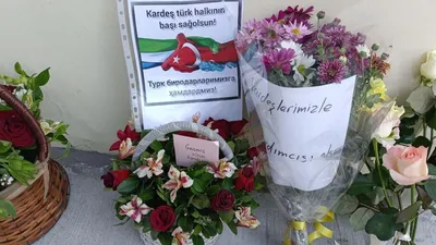Цветы Турции бугенвилия :: Елена Шаламова – Социальная сеть ФотоКто