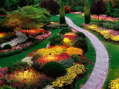 Популярные цветы, которые используют в ландшафтном дизайне – Garden