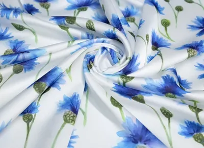 Полевой цветок василек синий цветок PNG , дикие цветы, Васильковый,  Сложноцветные PNG картинки и пнг PSD рисунок для бесплатной загрузки