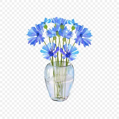 Васильки Цветы Синий - Бесплатное фото на Pixabay - Pixabay