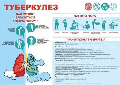 Туберкулез. Профилактика и лечение — РЕСПУБЛИКАНСКИЙ ЦЕНТР УКРЕПЛЕНИЯ  ЗДОРОВЬЯ И МАССОВОЙ КОММУНИКАЦИИ
