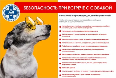 Антигельминтный препарат для собак крупных пород KRKA Дехинел Плюс 2310мг 2  тб./уп. купить в Екатеринбурге | /3838989613044 | Заповедник