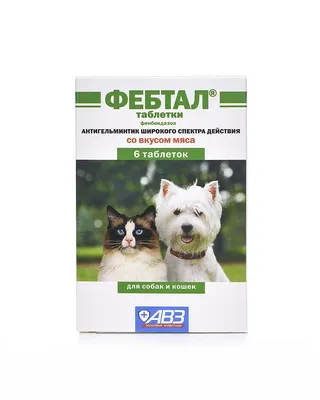 Inspector Квадро Табс для кошек и собак от 0,5 кг до 2 кг 4 тб Неотерика –  купить в интернет зоомагазине РыжийКот56.рф