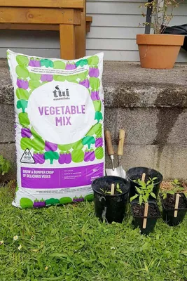 Tui How To's - All Purpose Potting Mix - YouTube