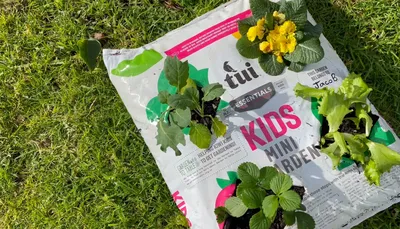 Oderings Garden Centres | Tui Organic Potting Mix - Biogro Certified 30L